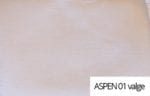 asp01