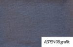 asp08
