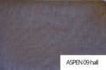 asp09