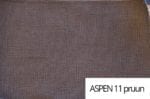 asp11