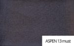 asp13