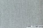 fame170