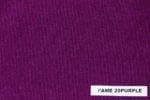 fame20