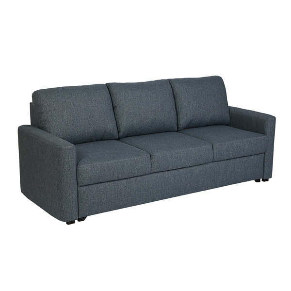 Ramona31_blue_AR1 2