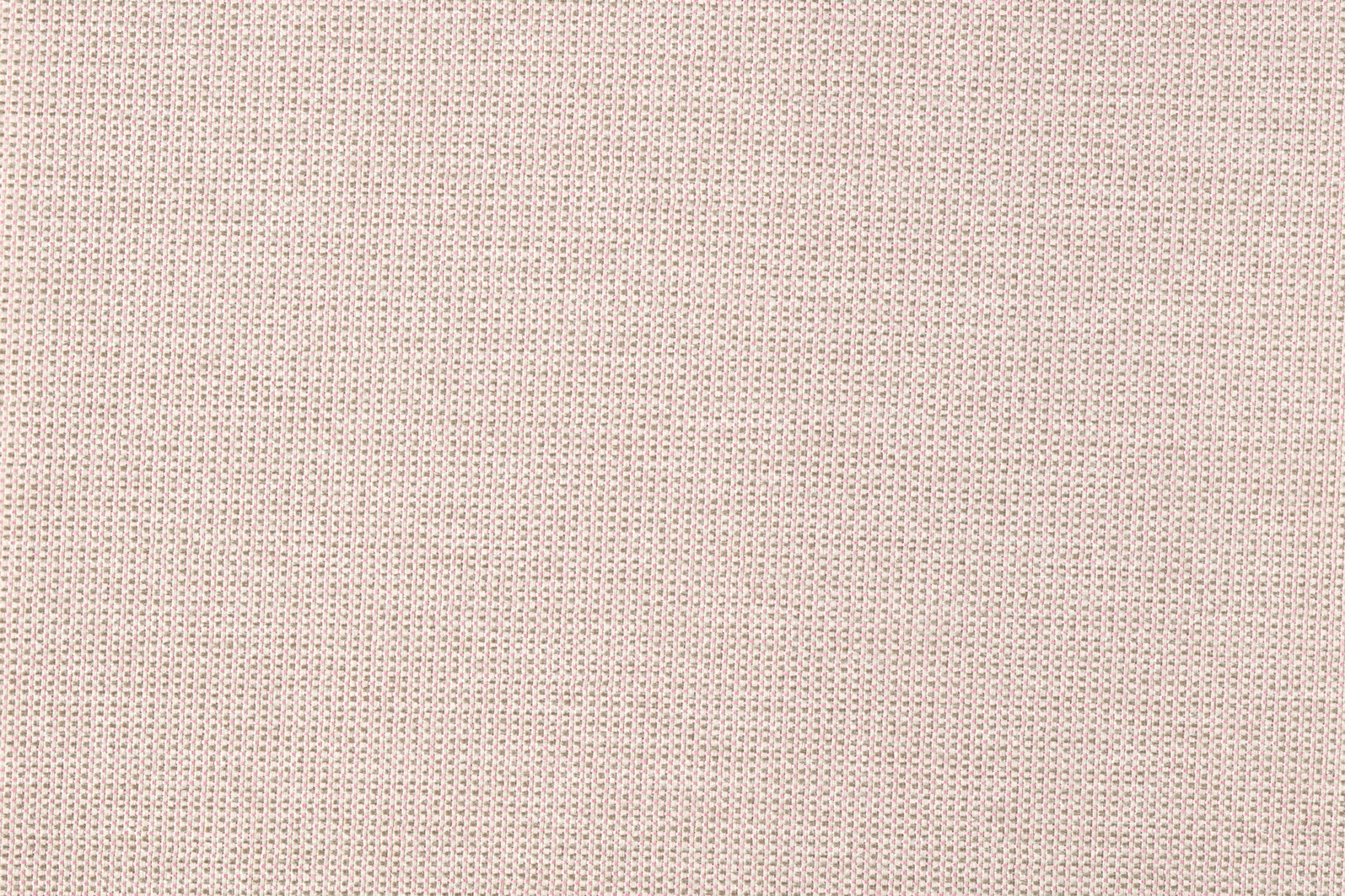 agge_pink.jpg